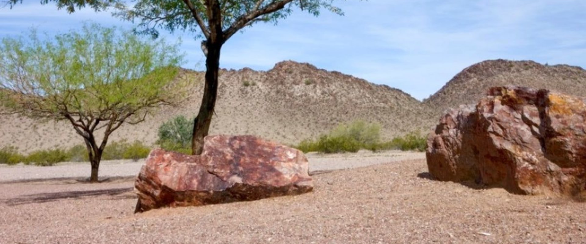 The Ultimate Guide to Choosing the Best Mesquite Mover